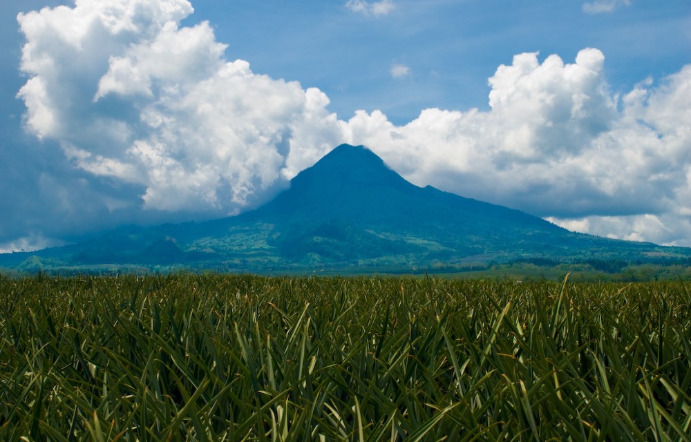 Mount Matutum